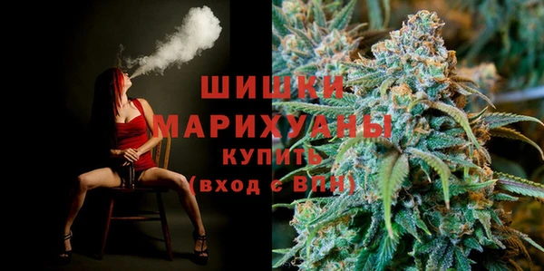 индика Мегион
