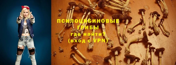 таблы Арсеньев